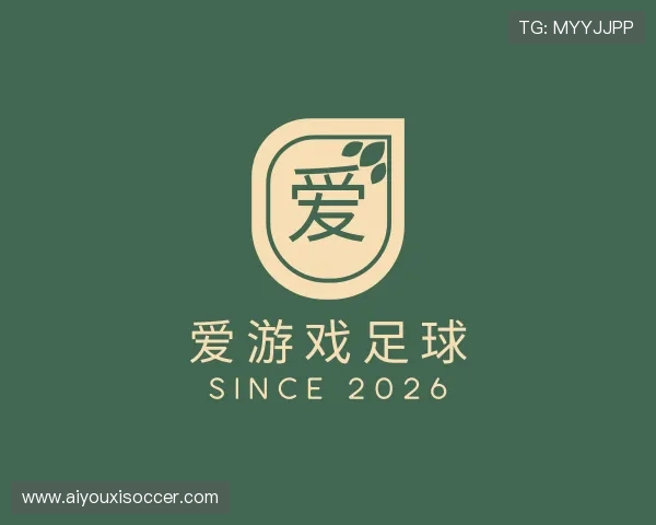 关于爱游戏足球