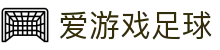 爱游戏足球 - (中国)上海爱游戏足球实业有限公司欢迎您